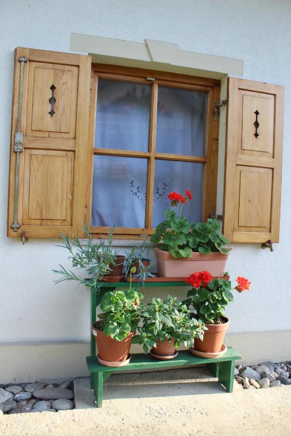 Sleeping In Village Svecina Bagian luar foto